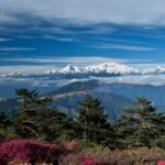 Sandakphu Trek Guide: Route, Permits, Stay Options & Tips