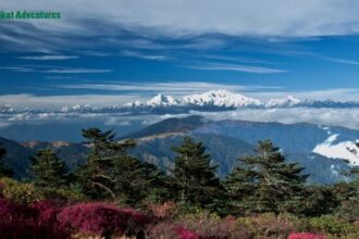 Sandakphu Trek Guide: Route, Permits, Stay Options & Tips