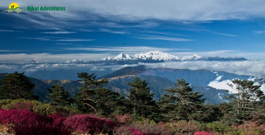 Sandakphu Trek Guide: Route, Permits, Stay Options & Tips